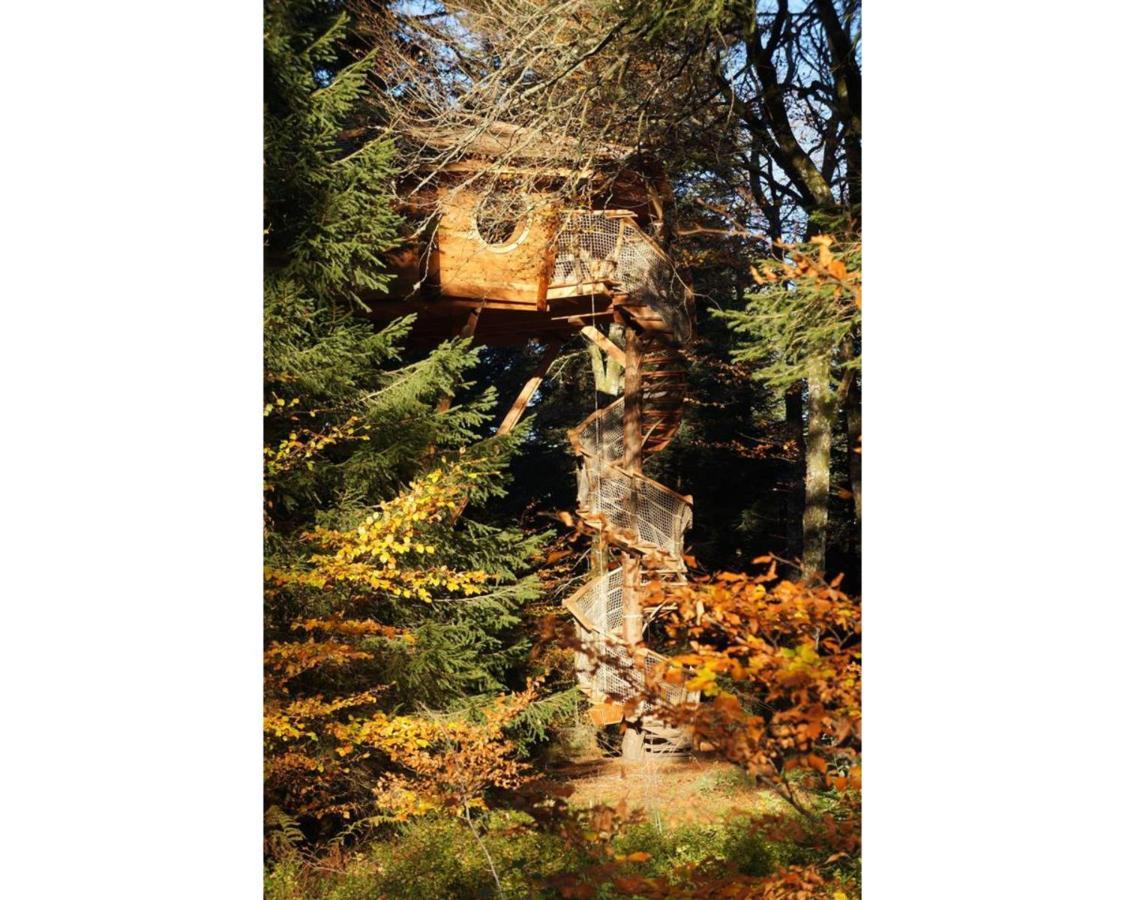 Cabanes des Volcans La Tour-dʼAuvergne Extérieur photo
