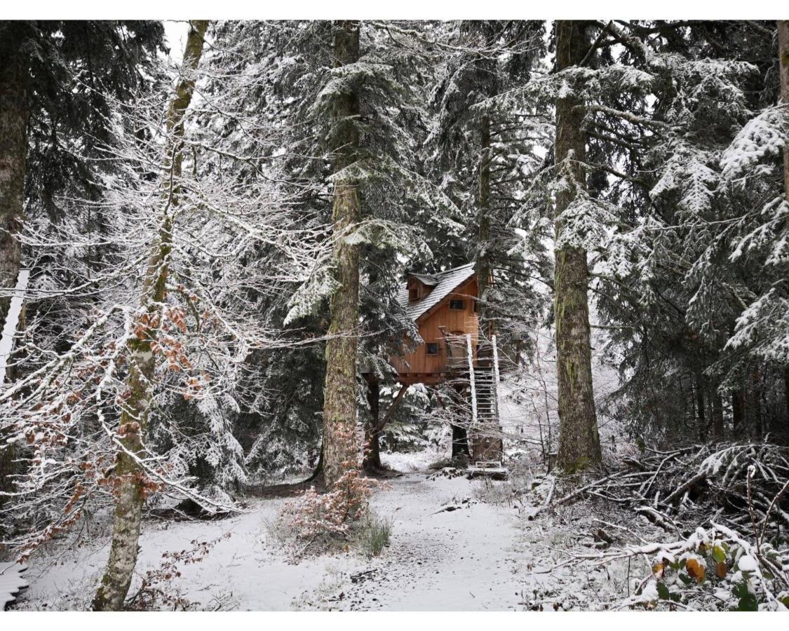 Cabanes des Volcans La Tour-dʼAuvergne Extérieur photo