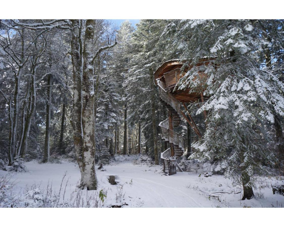 Cabanes des Volcans La Tour-dʼAuvergne Extérieur photo